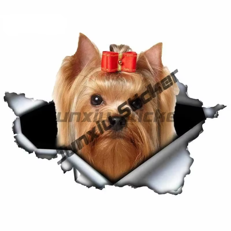 Chihuahua maman autocollant en - Laptop Accessories Brand avis et prix